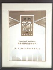 ●集团公司首次进入《财富》世界500强榜单。